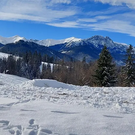 شقة Tatrzanska Polana - Tatra Mountain View, Free Parking & Wifi زاكوباني