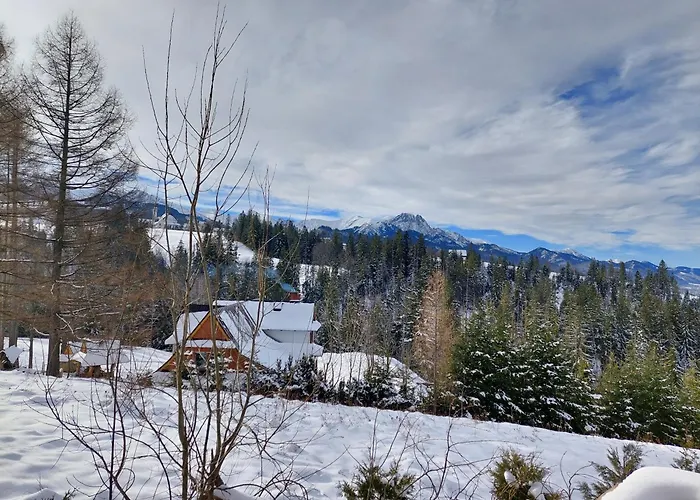 Tatrzanska Polana - Tatra Mountain View, Free Parking & Wifi アパート ザコパネ