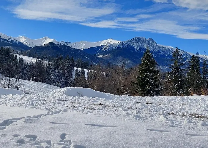 アパート Tatrzanska Polana - Tatra Mountain View, Free Parking & Wifi ザコパネ